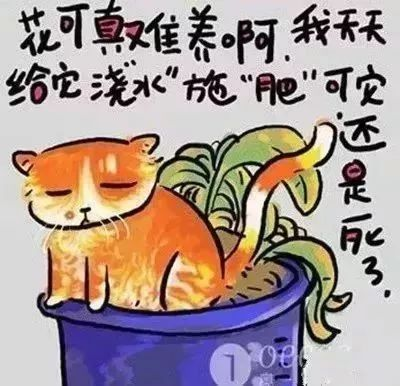 人生歪理，歪的很有道理！（值得收藏）