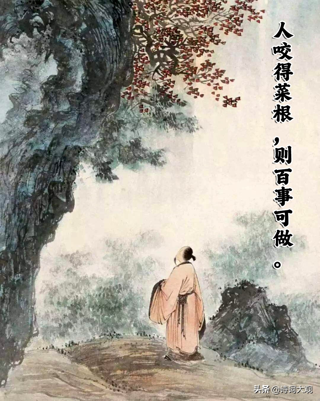 《菜根谭》100句经典名句，感悟为人处世的智慧（文字版）